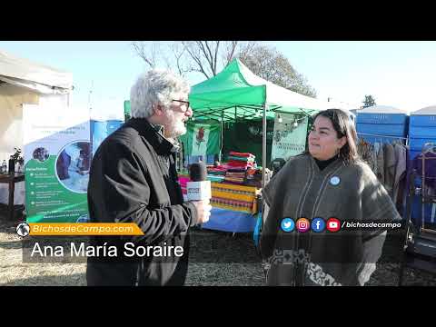 Ana María Soraire, telarista e hilandera en Achiras, Córdoba