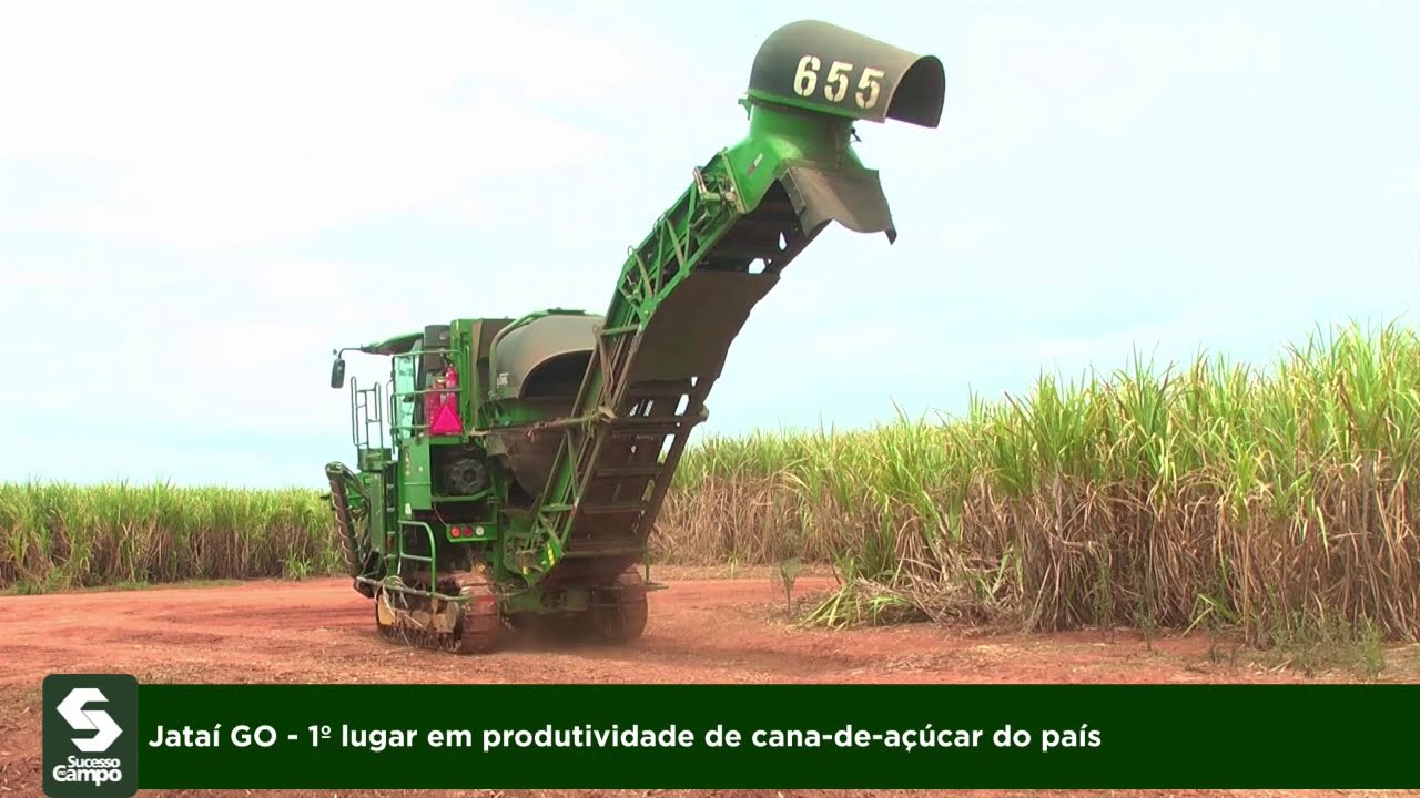 Jataí GO - 1º lugar em produtividade de cana-de-açúcar do país
