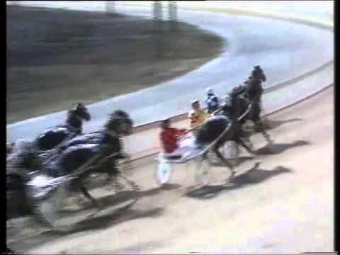 1991 South Australian Cup trots race