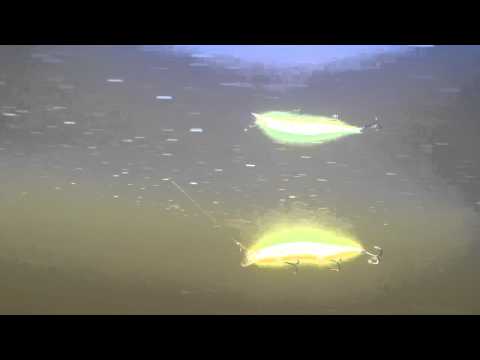 DUO Realis Jerkbait 120SP