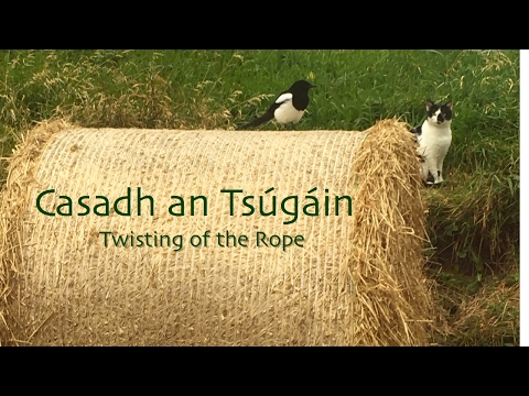 Ilse de Ziah - Casadh an tSúgáin - Irish Cello Sheet Music