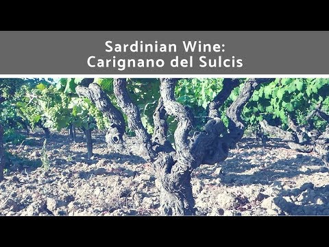 Sardinian Wine: Carignano del Sulcis