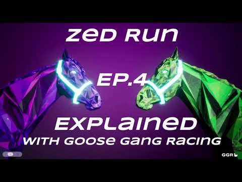 Zed Run Explained Ep.4: Buying Guide and Stable Starting Tips