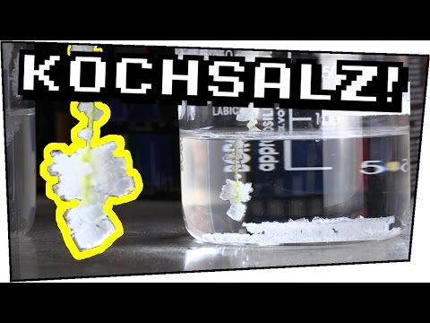 EXPERIMENT / KOCHSALZ KRISTALLE zuhause SELBER ZÜCHTEN ! - Experimente zum nachmachen #82