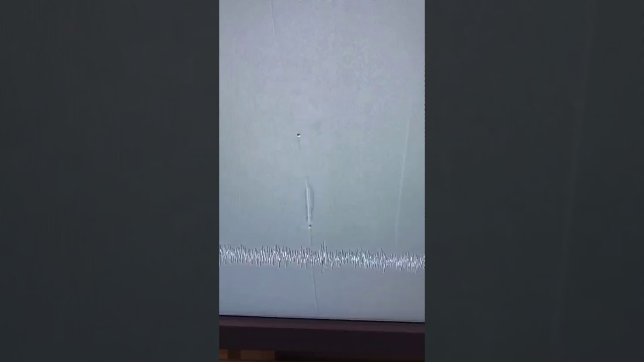 Jorge Eduardo Martinez Cachon-21