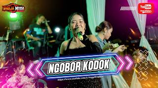 Download lagu NGOBOR KODOK - MIA INYONG - RADJA MUDA mp3 Download lagu NGOBOR KODOK - MIA INYONG - RADJA MUDA mp3