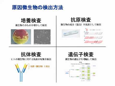 福島県立医科大学 保健科学部説明会「臨床検査学科の紹介」
