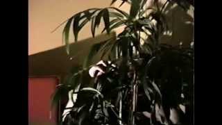 Com Truise- Subsonic