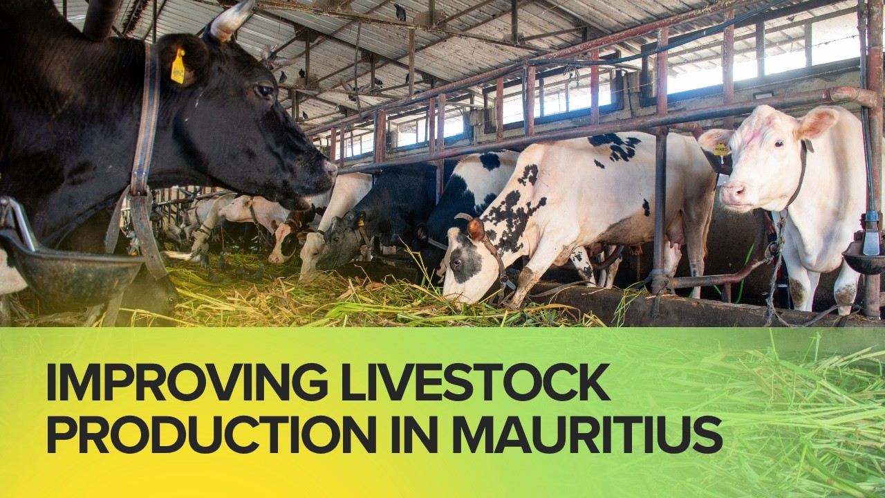 PROMOTING SUSTAINABLE LIVESTOCK PRODUCTION IN THE REPUBLIC OF MAURITIUS