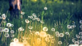 OST Rules of Love - Far Away and Near - Kim Yun Woo (멀리서 그리고 가까이 - 김연우)