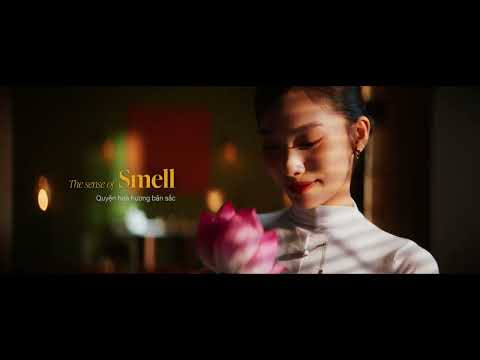 Video dự án 3