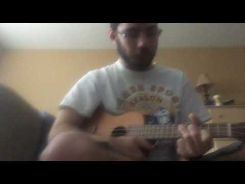 Shawn Mendes and Camila Cabello Señorita ukulele cover cover