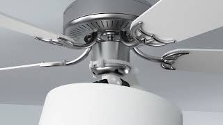 Fan-tastic Shades & Clips Installation