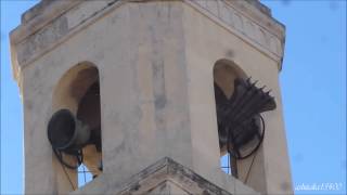 preview picture of video 'Église Notre-Dame du Mont Carmel/Saint Roch à Marseille (Mazargues) - Plenum'