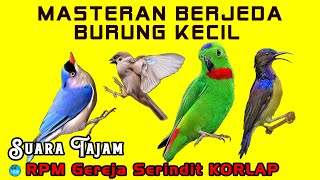 Download lagu Suara Tajam Burung Kecil RPM Gereja Serindit KORLAP mp3