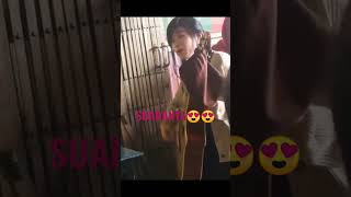 Download lagu Suaranya Merdu Bangat😍😍😍#musisijalanan #musisi #hiburan mp3 Download lagu Suaranya Merdu Bangat😍😍😍#musisijalanan #musisi #hiburan mp3