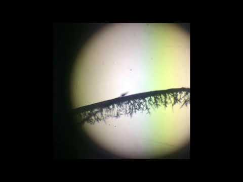 Making a ChemisTREE in chemistry!