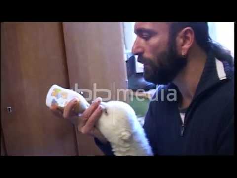 Best of Eisbär Knut - Rückblick auf sein Leben, 2011