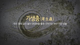 우리 몸 속, 아직도 기생충이? [건강플러스] 미리보기