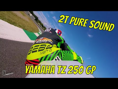 YAMAHA TZ 250 GP 1991 | CIRCUITO di POMPOSA | RACING TIME [4K]