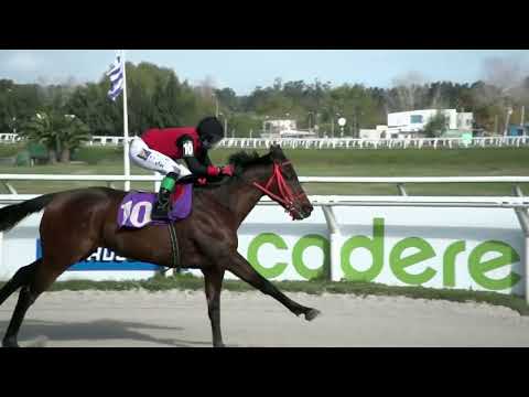 230616 c04 - WADOR - HIPODROMO LAS PIEDRAS