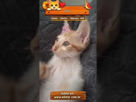 Vídeo de ninu