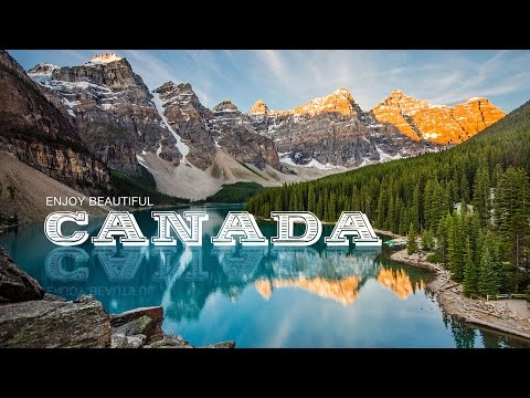 How to Set Up and Use a Wacom Tablet