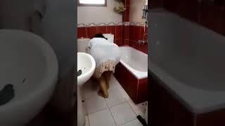 روتين تنظيف الحمام