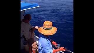 preview picture of video 'Water Wolf underwater Camera Fishing, Cairns,  Great  Barrier Reef'