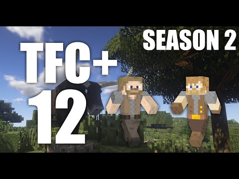 TerraFirmaCraft+ Season 2 Episode 12