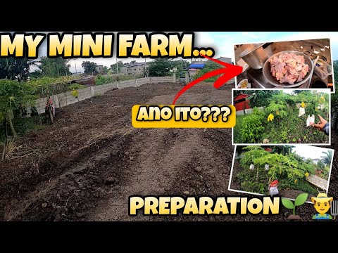 EP816 (Part3/3): MINI FARM PREPARATION + TINUMIS NA BIBE