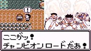 【ゆっくり実況】野生ポケモンを倒さず三匹で挑むポケットモンスター赤 Part23