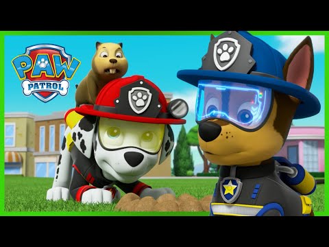 Chase and Marshall Ultimate Rescues 🚨 | PAW Patrol | Cartoons for Kids
