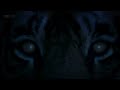 Jah Wobble - Tyger Tyger (dub version) 
