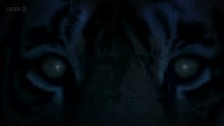 Jah Wobble - Tyger Tyger (dub version)