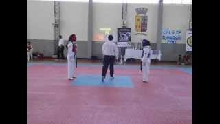 preview picture of video 'MITZI KRISTNA RIVERA MORA, Primer campeonato regional de Taekwondo-Bulnes 2011'