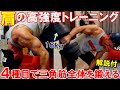 【自宅筋トレ】自重とダンベルで肩の高強度トレーニング!4種目で三角筋全体を追い込む【解説付】