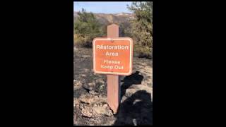 Wildfire Devastation from the Woolsey Fire