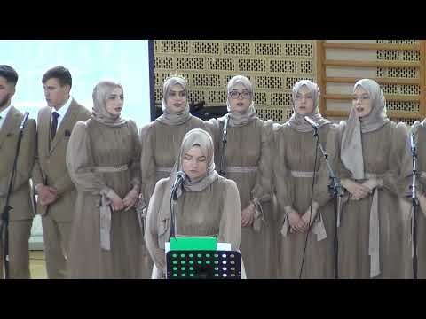 DŽENNET PITA NAGIZDAN / HOR MEDRESE CAZIN