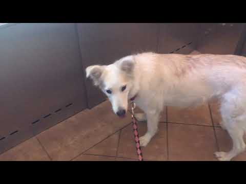 Mitsubishi Hydraulic Elevator @ Fashion Island Parking Garage
