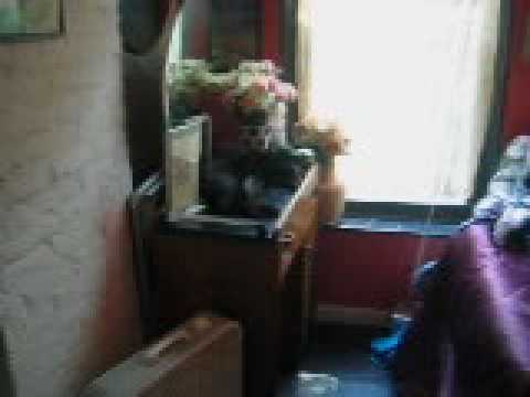 Amanda Alison NYC First Apartment