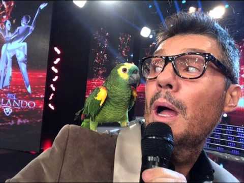 La lora de Miriam Tinelli