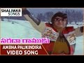 Sarada Ramudu Movie Ambha Palikindira Video Song NTR Jayasudha Shalimarsongs