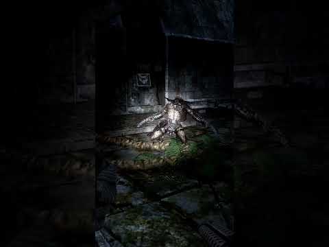 defeating the predator AVP 2010