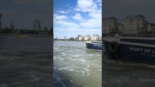 Viking Sky approach, Greenwich London UK on the Thames