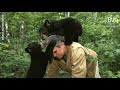 The Kilham Bear Centre Helps Black Bear Cubs Return To Nature
