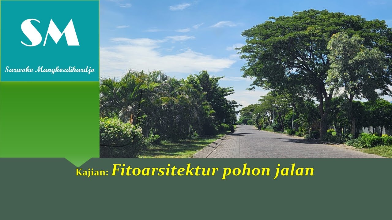 Fitoarsitektur pohon jalan #video #fitoteknologi #lingkungan #channel #top #trending #art #design
