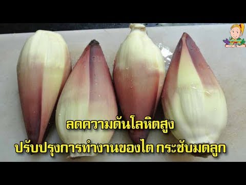 ที่ให้ค้อนโตราห์ เนื้อแรง