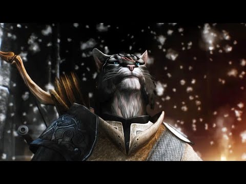 Я похож на кота (песня)