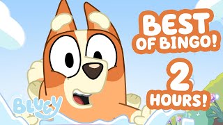 🔴LIVE: Best of Bingo! ✨ 🧡 | 2 HOURS of Bluey and Bingo Playtime and Life Lessons | Bluey